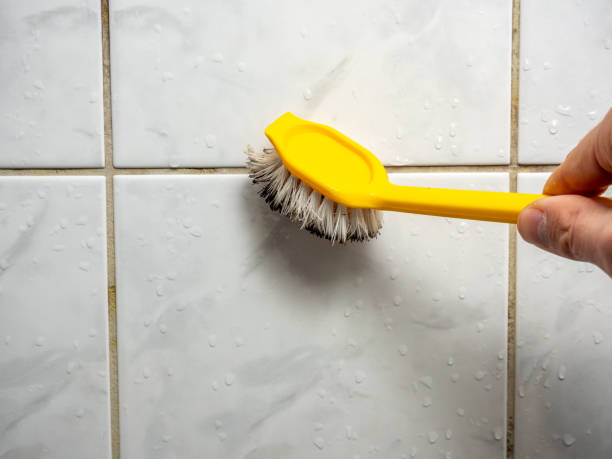 Best Mold Testing  in Arthurdale, WV
