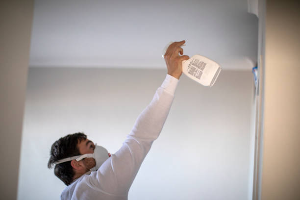 Best Emergency Mold Removal  in Arthurdale, WV