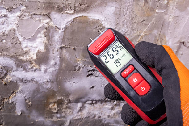 Best Commercial Mold Removal  in Arthurdale, WV