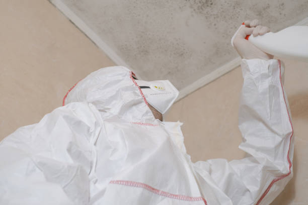 Best Residential Mold Removal  in Arthurdale, WV