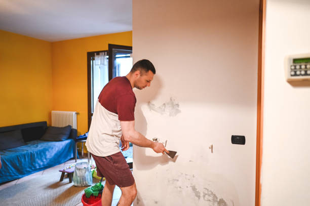 Mold Testing and Removal in Arthurdale, WV